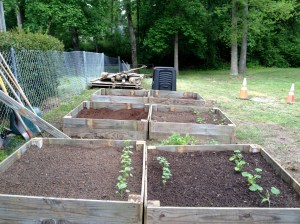 The Baby Garden - Day 2